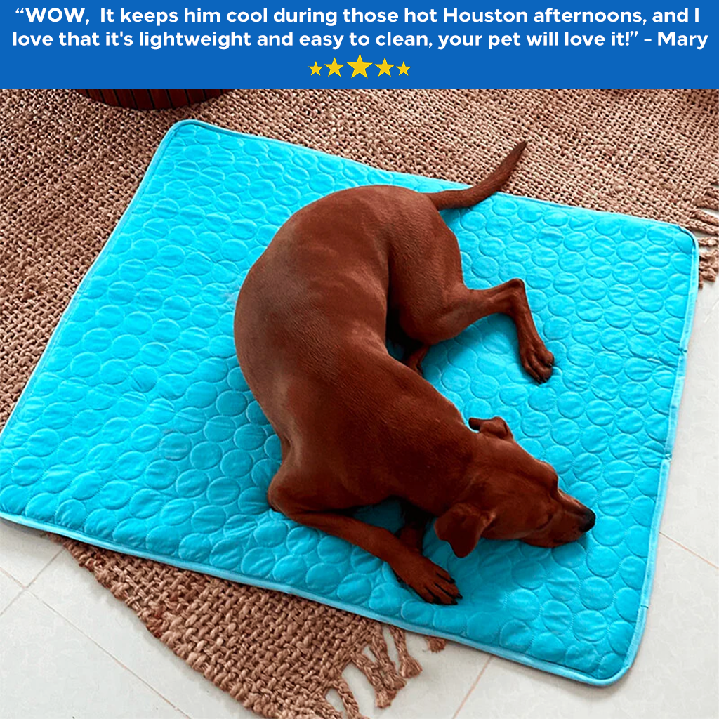 PolarPad - The Ultimate Cooling Mat for Pets